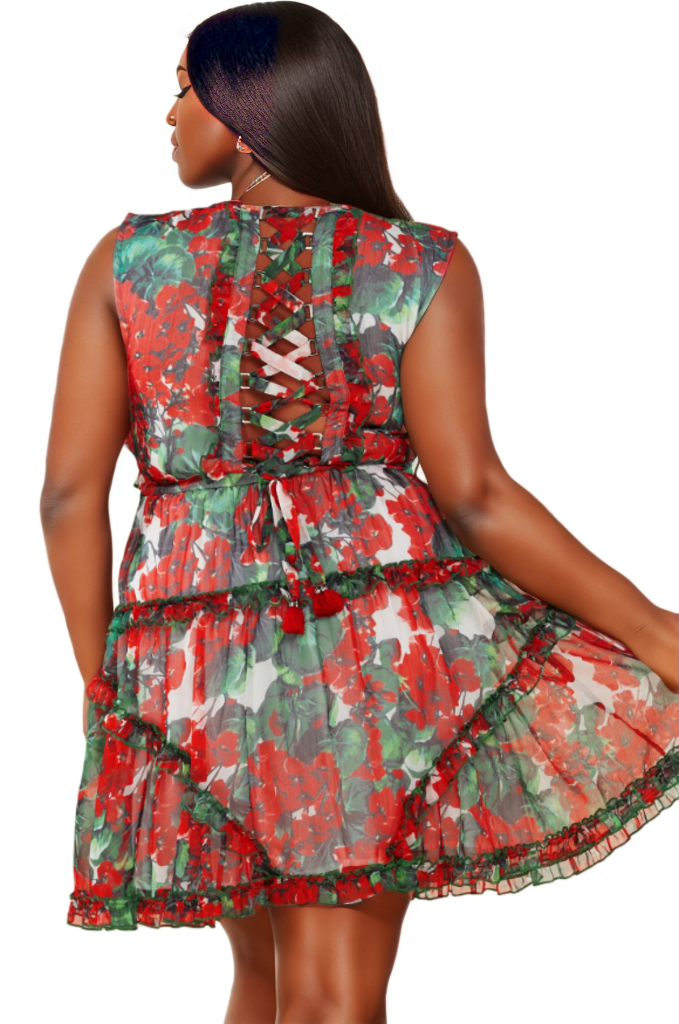 Floral Print Chiffon Sleeveless Mini Dress